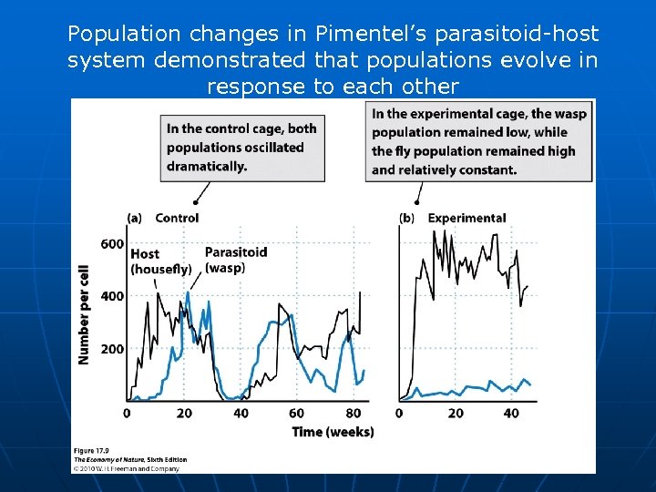 Population changes in Pimentel’s parasitoid-host system demonstrated that populations evolve in response to each
