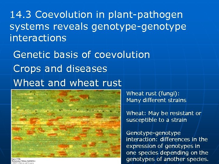 14. 3 Coevolution in plant-pathogen systems reveals genotype-genotype interactions Genetic basis of coevolution Crops