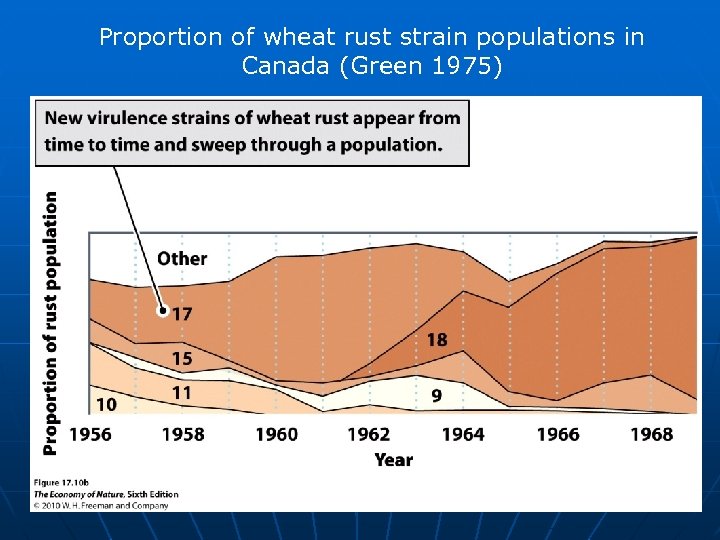 Proportion of wheat rust strain populations in Canada (Green 1975) 
