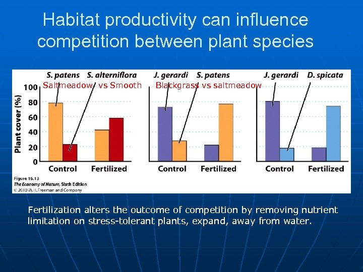 Habitat productivity can influence competition between plant species Saltmeadow vs Smooth Blackgrass vs saltmeadow