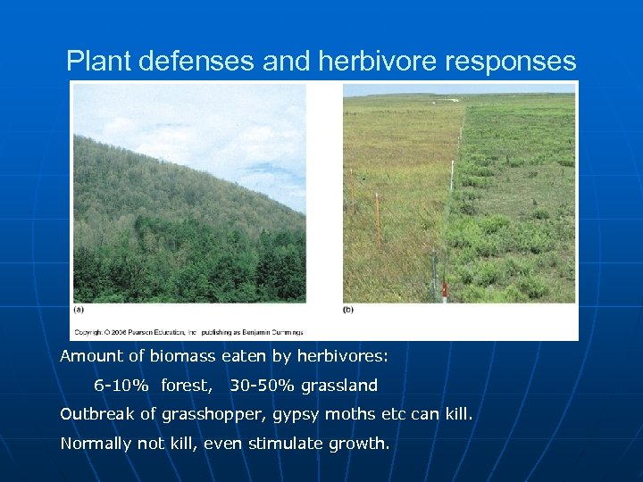 Plant defenses and herbivore responses Amount of biomass eaten by herbivores: 6 -10% forest,