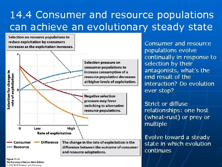 14. 4 Consumer and resource populations can achieve an evolutionary steady state Consumer and