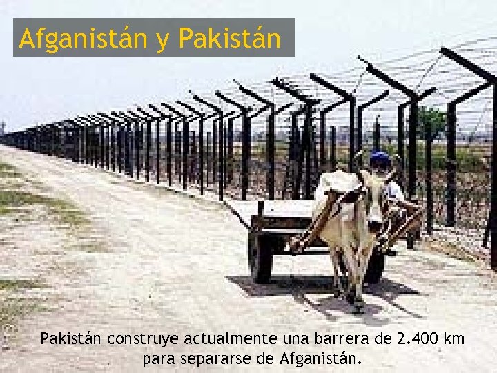 Afganistán y Pakistán construye actualmente una barrera de 2. 400 km para separarse de