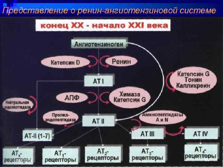 Представление о ренин-ангиотензиновой системе 17. 02. 2018 80 