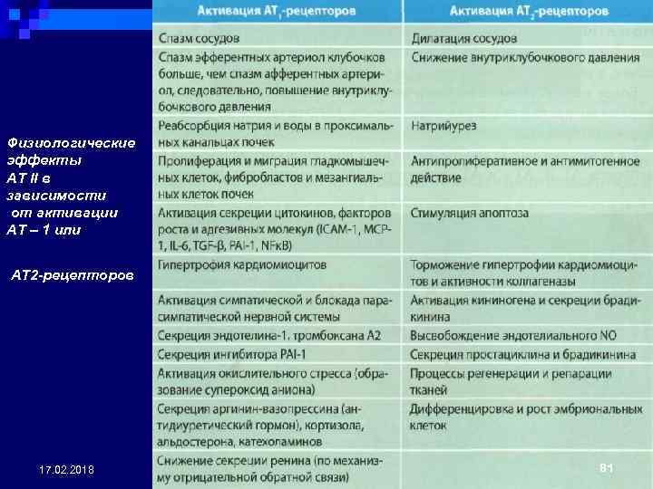 Физиологические эффекты АТ II в зависимости от активации АТ – 1 или АТ 2