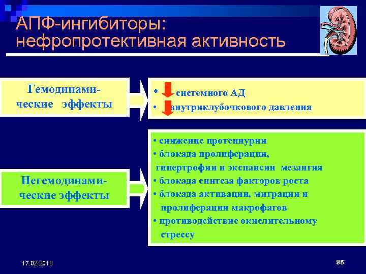 АПФ-ингибиторы: нефропротективная активность Гемодинамические эффекты • Негемодинамические эффекты • снижение протеинурии • блокада пролиферации,