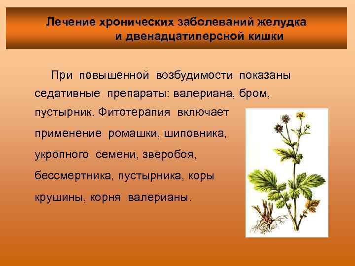 Лечение хронических заболеваний желудка и двенадцатиперсной кишки При повышенной возбудимости показаны седативные препараты: валериана,