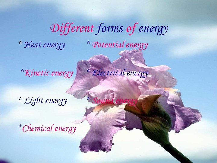 Different forms of energy * Heat energy * Potential energy *Kinetic energy * Electrical