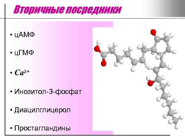 Вторичные посредники • ц. АМФ • ц. ГМФ • Са 2+ • Инозитол-3 -фосфат