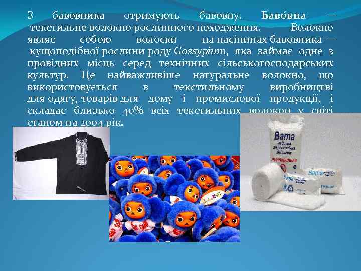 З бавовника отримують бавовну. Баво вна — текстильне волокно рослинного походження. Волокно являє собою