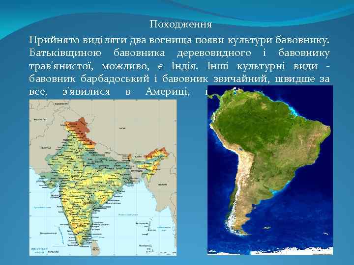 Походження Прийнято виділяти два вогнища появи культури бавовнику. Батьківщиною бавовника деревовидного і бавовнику трав'янистої,