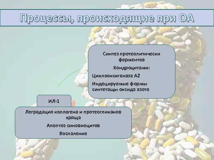 Процессы, происходящие при ОА Синтез протеолитически ферментов Хондроцитами: Циклооксигеназа А 2 Индецируемые формы синтетащы