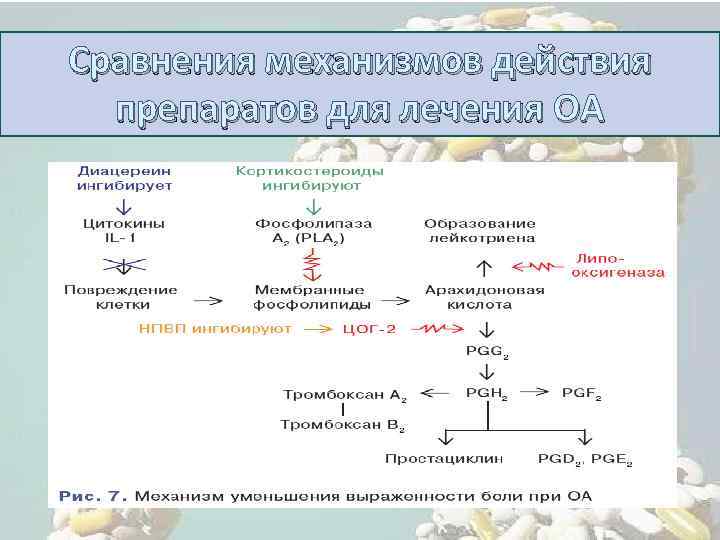 Сравнения механизмов действия препаратов для лечения ОА 