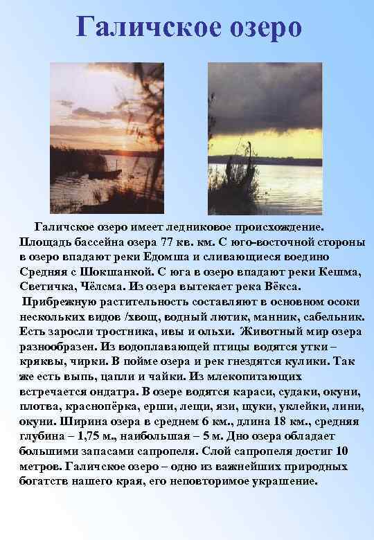 Галичское озеро имеет ледниковое происхождение. Площадь бассейна озера 77 кв. км. С юго-восточной стороны