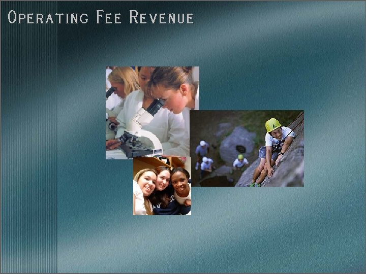Operating Fee Revenue 
