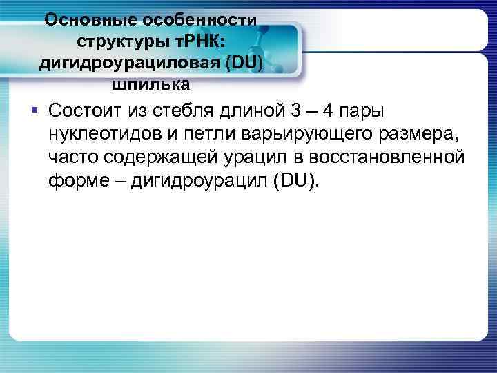 Основные особенности структуры т. РНК: дигидроурациловая (DU) шпилька § Состоит из стебля длиной 3