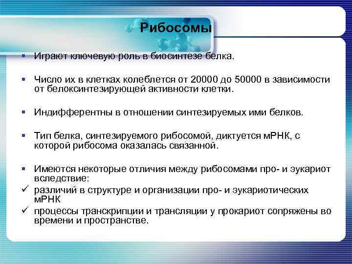 Рибосомы § Играют ключевую роль в биосинтезе белка. § Число их в клетках колеблется