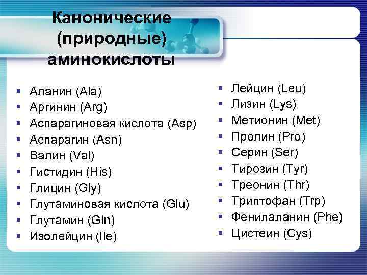 Канонические (природные) аминокислоты § § § § § Аланин (Ala) Аргинин (Arg) Аспарагиновая кислота