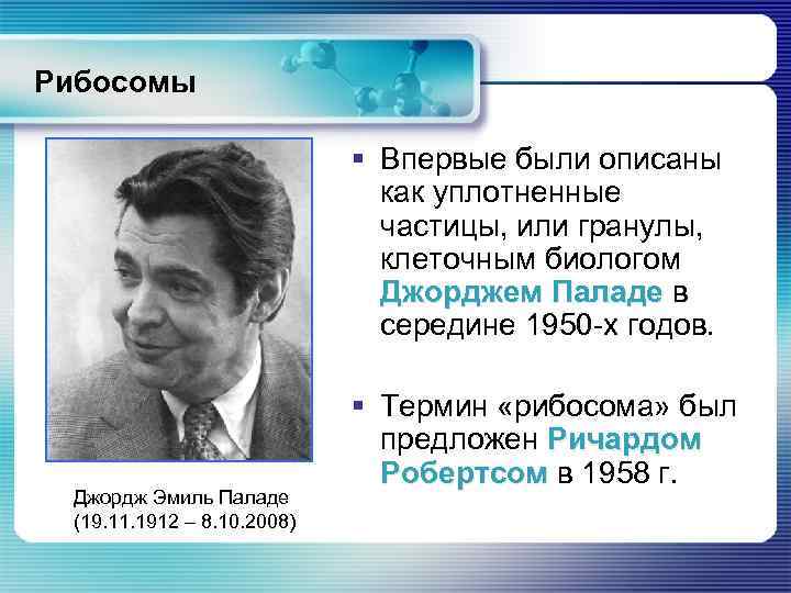 Рибосомы § Впервые были описаны как уплотненные частицы, или гранулы, клеточным биологом Джорджем Паладе