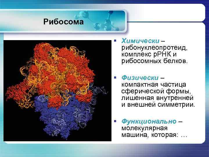 Рибосомы содержат рнк. Рибосомальная РНК биохимия. Четвертичная структура рибосом. Рибосомы биохимия. Рибонуклеопротеид рибосомы.