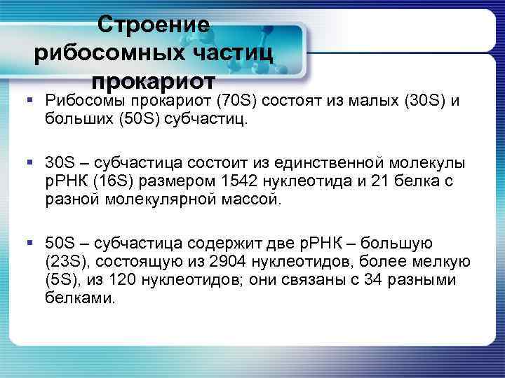 Строение рибосомных частиц прокариот § Рибосомы прокариот (70 S) состоят из малых (30 S)