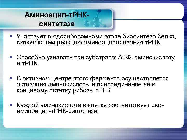 В процессе участвуют трнк. Роль аминоацил-ТРНК-синтетазы. Аминоацил-т-РНК синтетазы функции. Роль фермента аминоацил-ТРНК – синтетазы. Функция аминоацил-ТРНК-синтетаз.