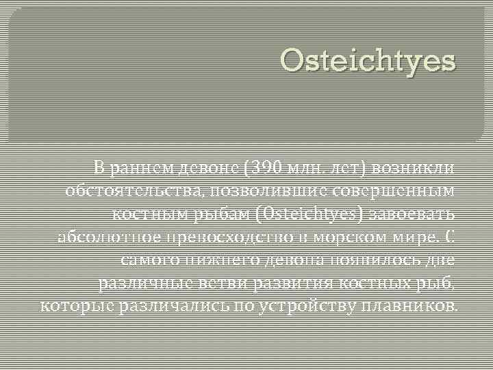 Osteichtyes В раннем девоне (390 млн. лет) возникли обстоятельства, позволившие совершенным костным рыбам (Osteichtyes)