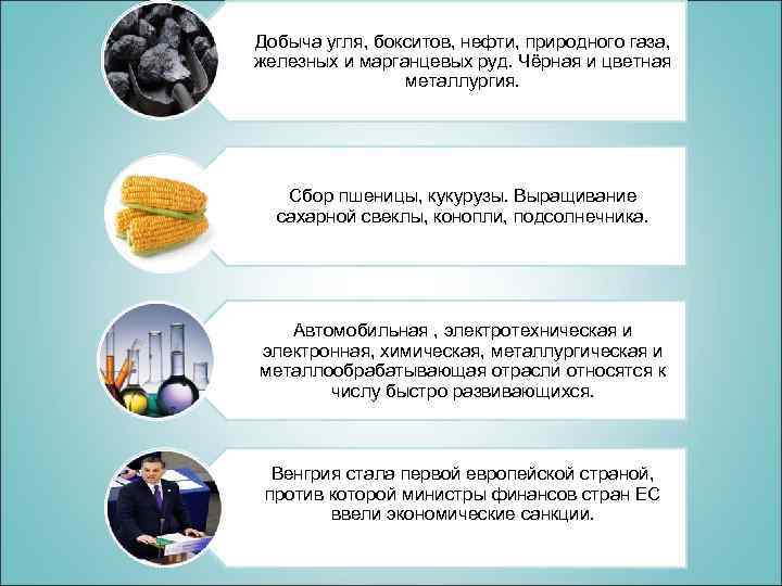Добыча угля, бокситов, нефти, природного газа, железных и марганцевых руд. Чёрная и цветная металлургия.