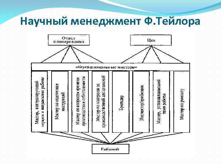 Научный менеджмент Ф. Тейлора 