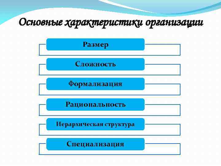 Общее понятие организации