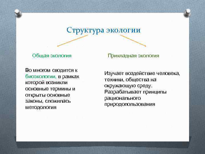 Структура экологии Общая экология Во многом сводится к биоэкологии, в рамках которой возникли основные