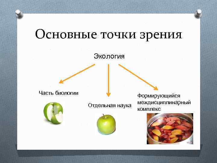 Основные точки зрения Экология Часть биологии Отдельная наука Формирующийся междисциплинарный комплекс 