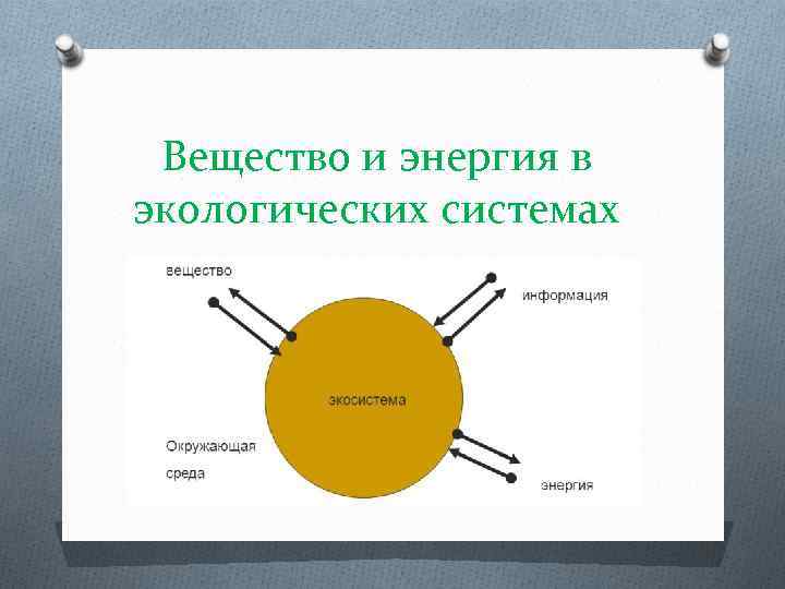 Вещество и энергия в экологических системах 