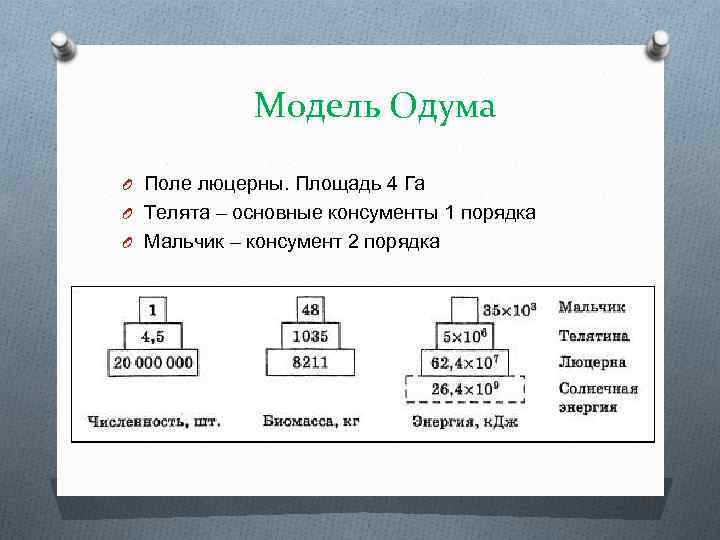 Модель Одума O Поле люцерны. Площадь 4 Га O Телята – основные консументы 1