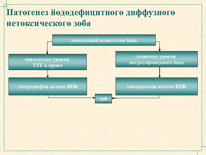 Патогенез йододефицитного диффузного нетоксического зоба экзогенный недостаток йода снижение уровня интратиреоидного йода повышение уровня
