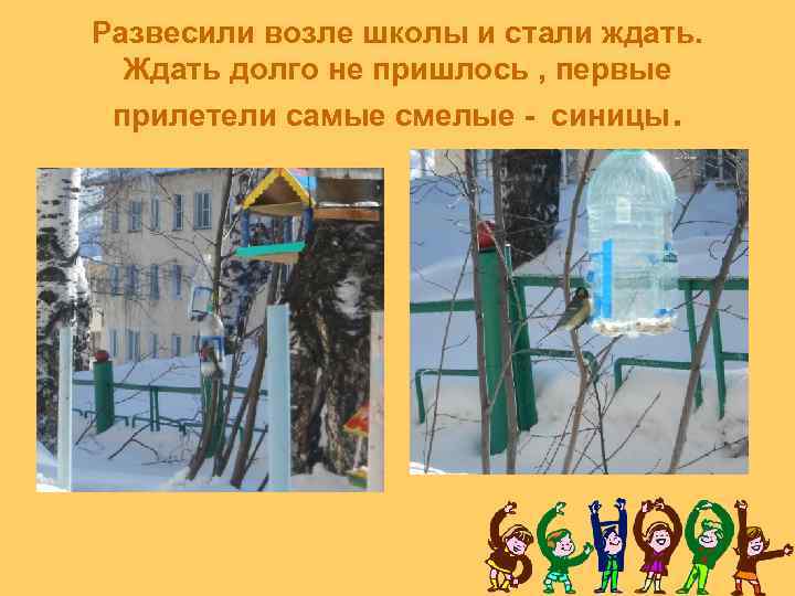 Развесили возле школы и стали ждать. Ждать долго не пришлось , первые прилетели самые