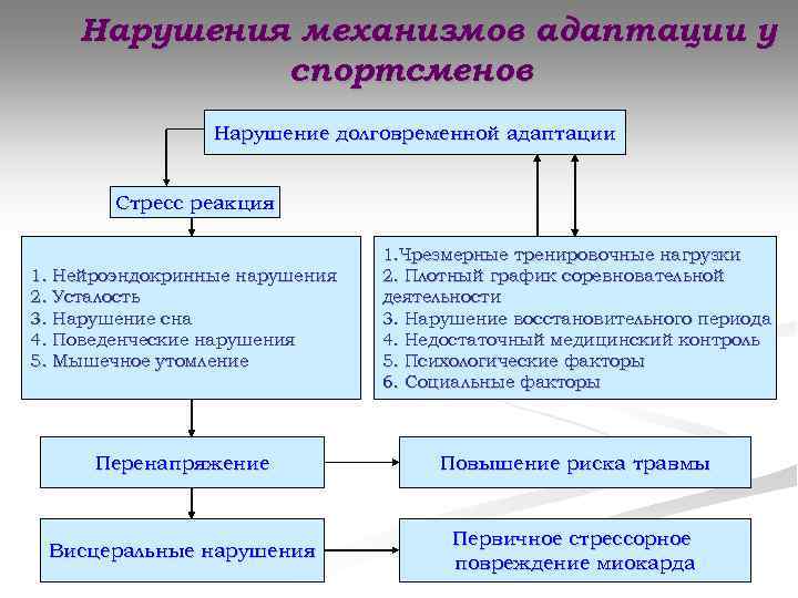 Схему механизмов адаптации