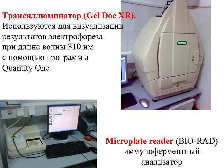 Трансиллюминатор (Gel Doc XR). Используются для визуализации результатов электрофореза при длине волны 310 нм