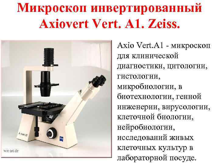 Микроскоп инвертированный Axiovert Vert. A 1. Zeiss. Axio Vert. A 1 - микроскоп для