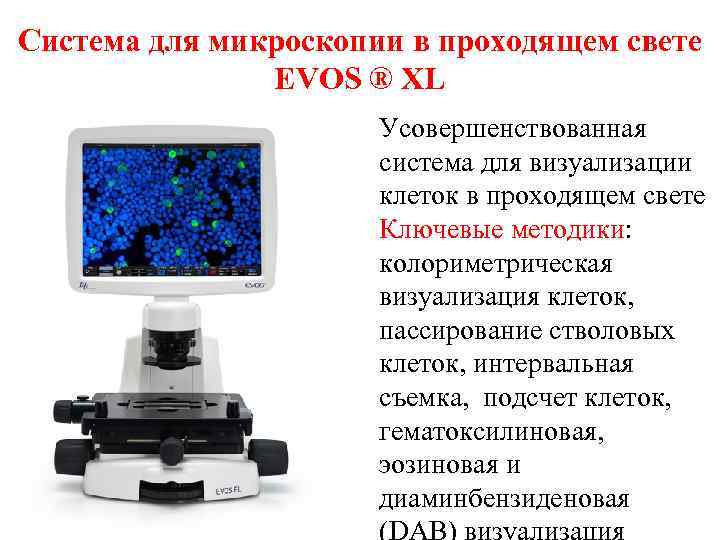Система для микроскопии в проходящем свете EVOS ® XL Усовершенствованная система для визуализации клеток