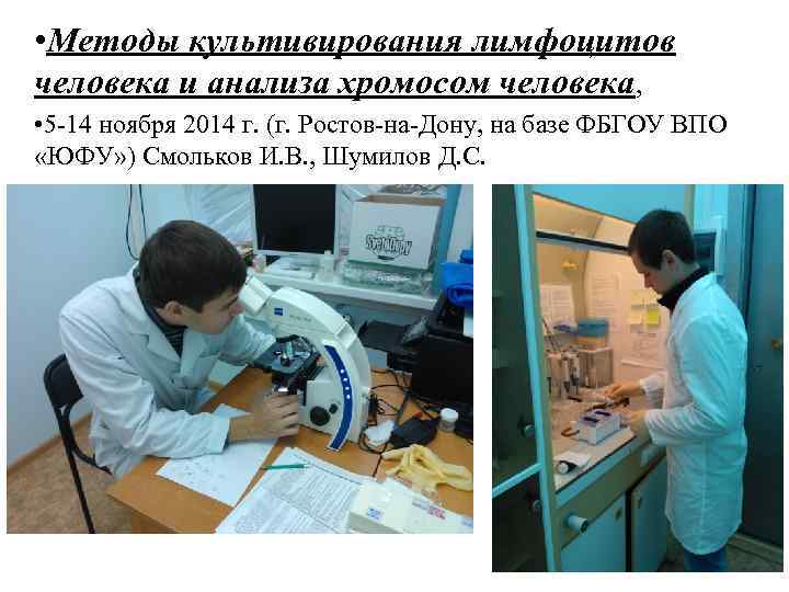  • Методы культивирования лимфоцитов человека и анализа хромосом человека, • 5 -14 ноября