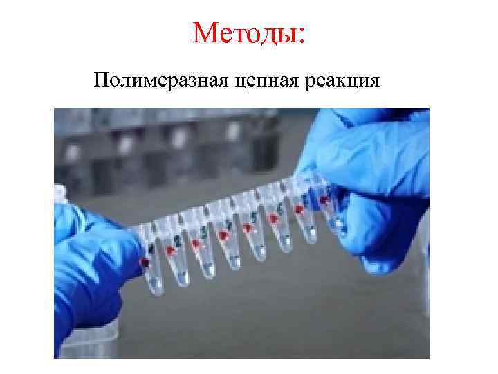 Методы: Полимеразная цепная реакция 