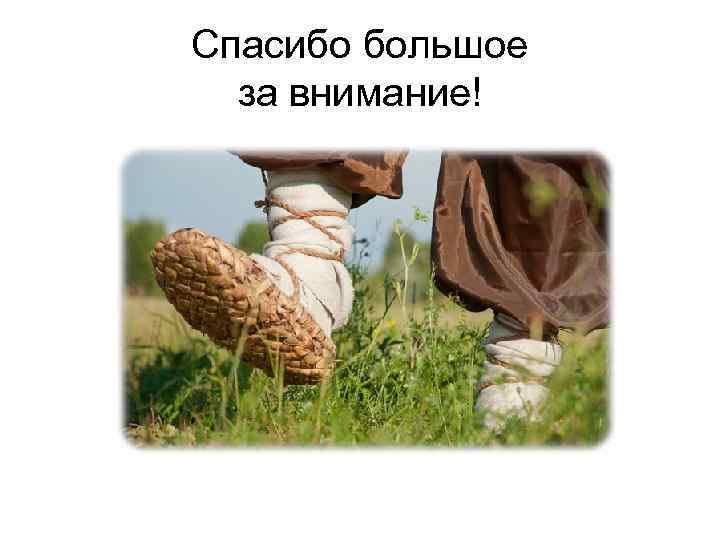 Спасибо большое за внимание! 