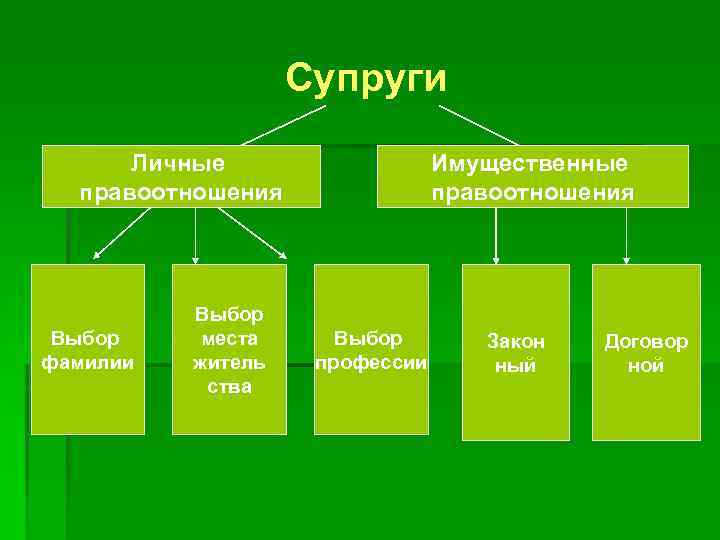 Супруги Личные правоотношения Выбор фамилии Выбор места житель ства Имущественные правоотношения Выбор профессии Закон