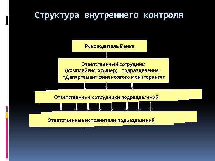 Правила внутреннего контроля в целях под фт фрому образец