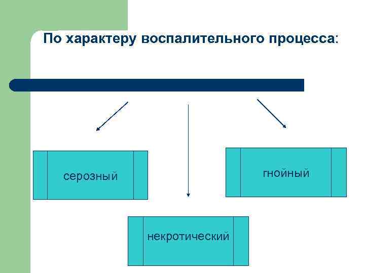 По характеру воспалительного процесса: гнойный серозный некротический 