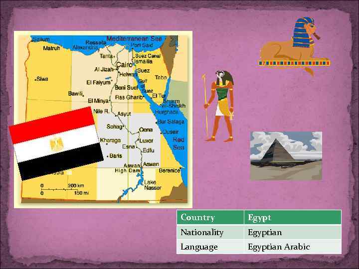 Country Egypt Nationality Egyptian Language Egyptian Arabic 