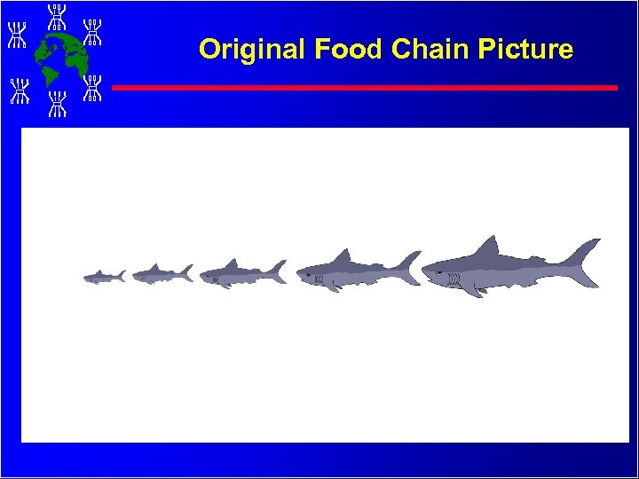 Original Food Chain Picture 