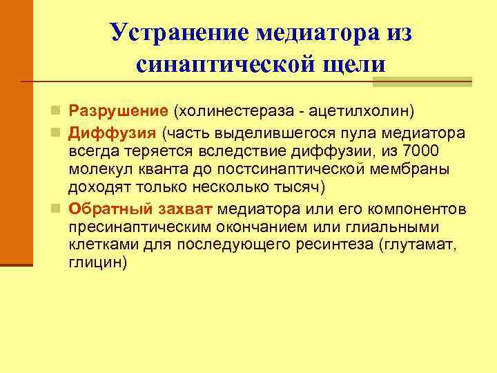 Устранение медиатора из синаптической щели n Разрушение (холинестераза - ацетилхолин) n Диффузия (часть выделившегося