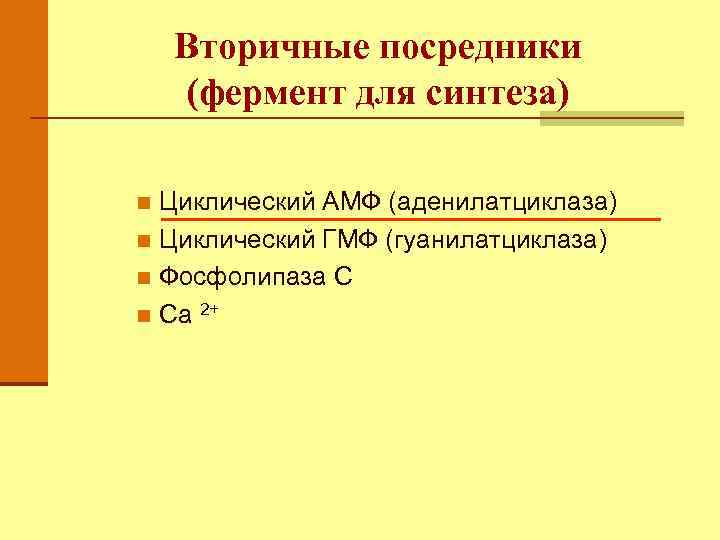 Вторичные посредники (фермент для синтеза) Циклический АМФ (аденилатциклаза) n Циклический ГМФ (гуанилатциклаза) n Фосфолипаза